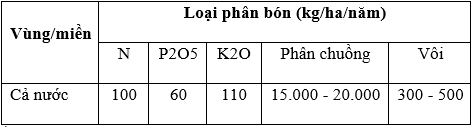 phân hành tây_1713519782.PNG